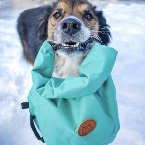 Open image in slideshow, Dog Food Bag
