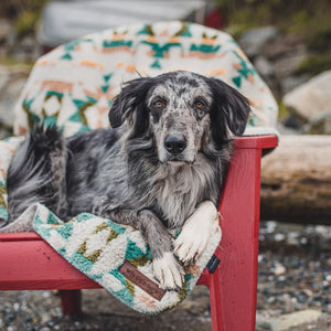 Open image in slideshow, Dog Sherpa Fleece Waterproof Blanket
