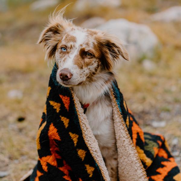 Dog Sherpa Fleece Waterproof Blanket