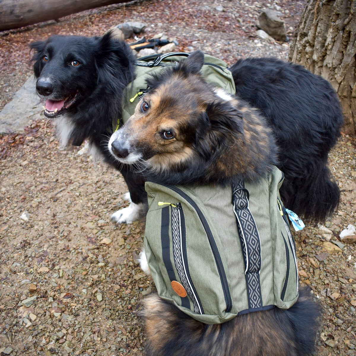 Wilderdog Backpack