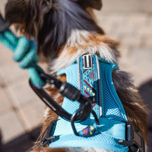 Open image in slideshow, Dog Harness
