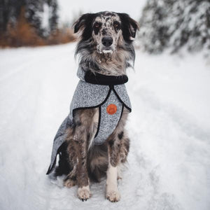 Dog Fleece Jacket—Gray